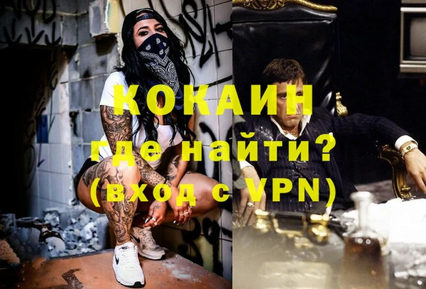 гашик Осинники