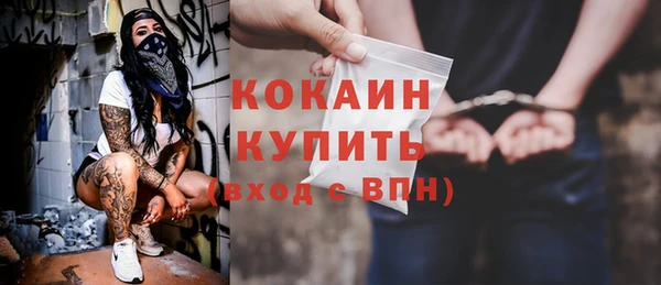 сатива Осташков