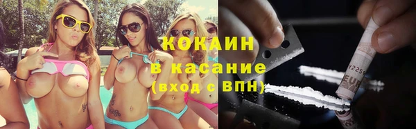 гашик Осинники