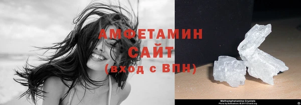 гашик Осинники