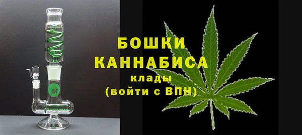 гашик Осинники