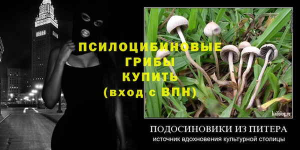 mdpv Данков
