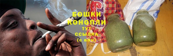 гашик Осинники