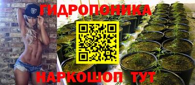 jwh Нальчик