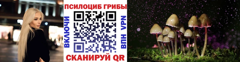 мориарти телеграм  Протвино  Галлюциногенные грибы мицелий  МЕГА онион 