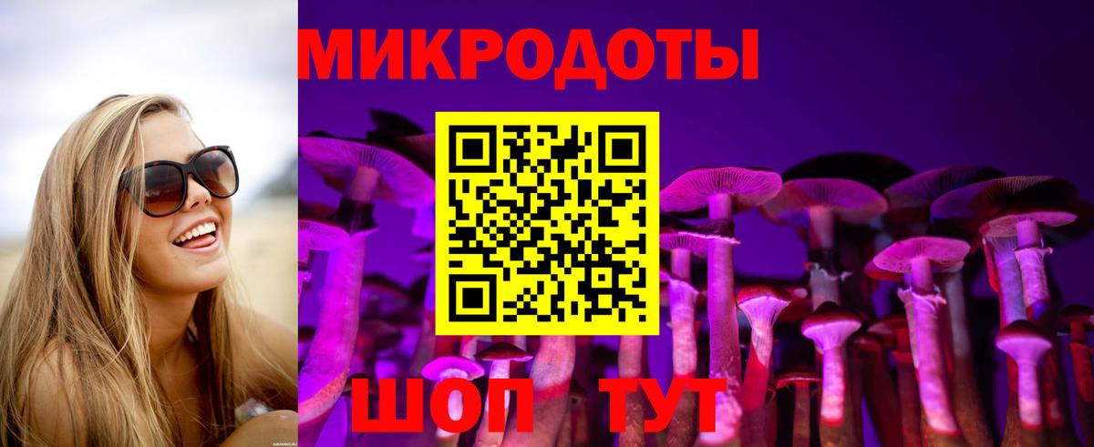 Псилоцибиновые грибы Psilocybine cubensis  Вход с VPN  Галлюциногенные грибы мухоморы  Протвино 